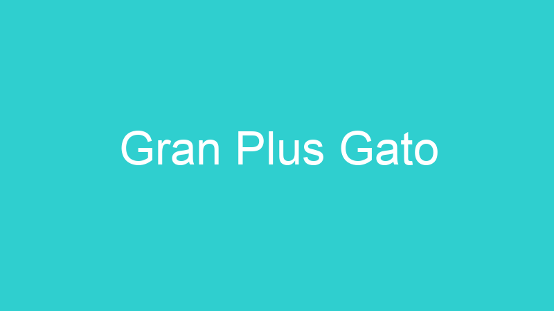 Gran Plus Gato