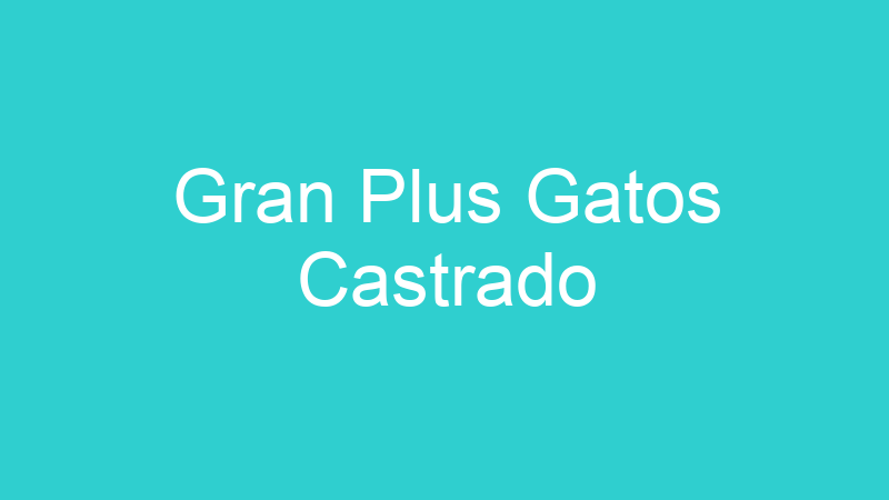 Gran Plus Gatos Castrado