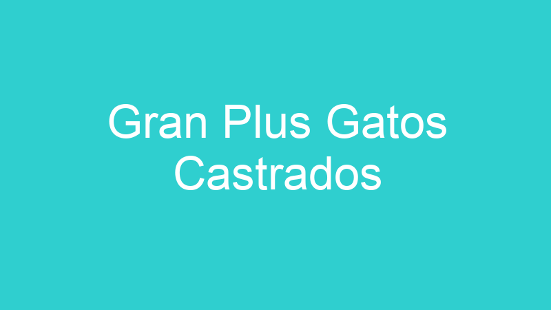 Gran Plus Gatos Castrados