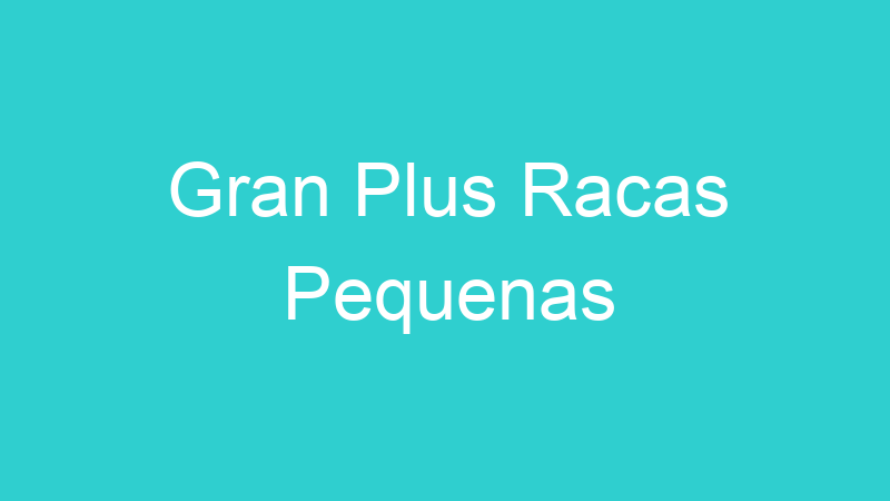 Gran Plus Racas Pequenas