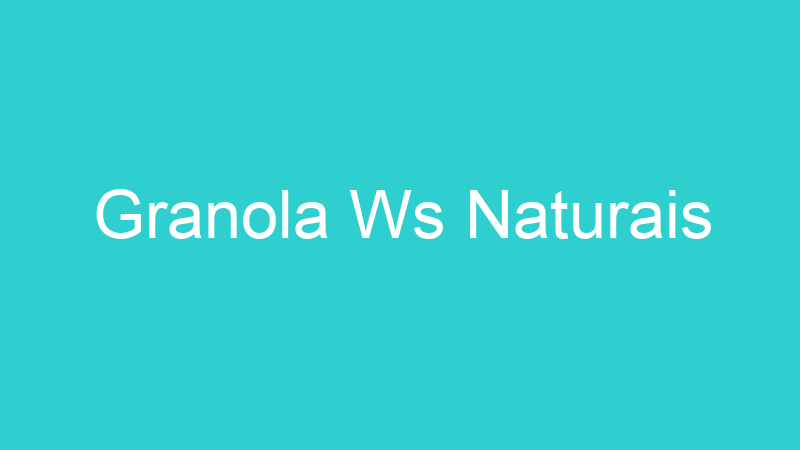 Granola Ws Naturais