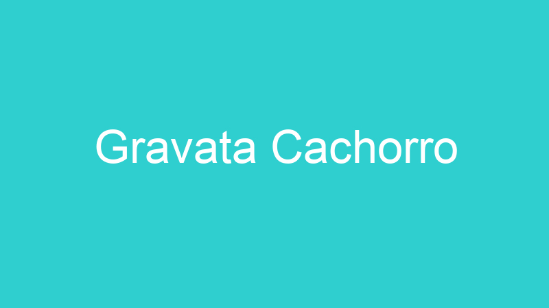 Gravata Cachorro