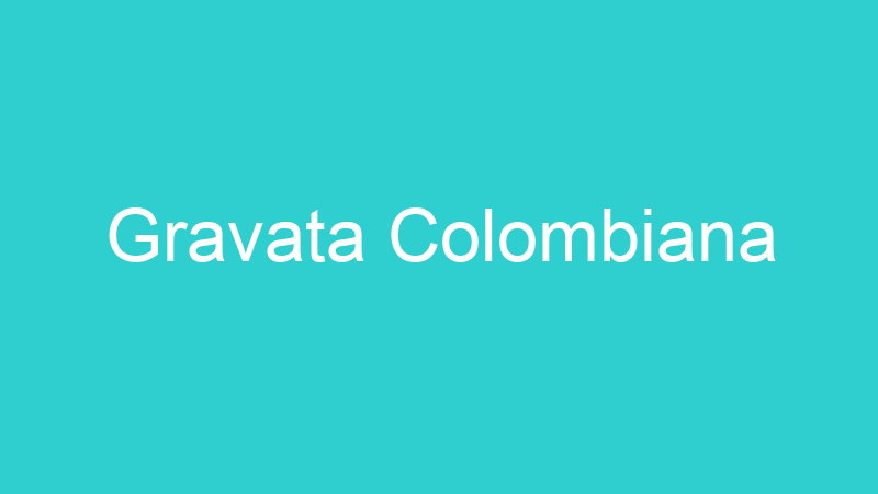 Gravata Colombiana
