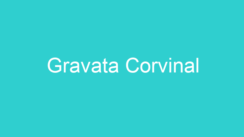 Gravata Corvinal