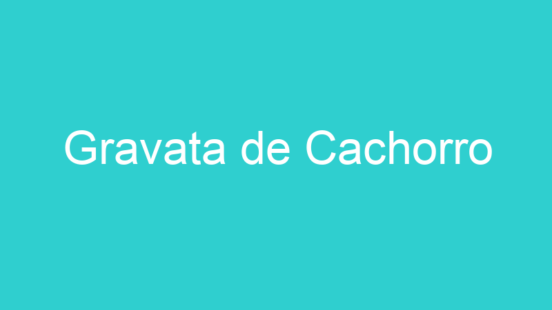 Gravata de Cachorro