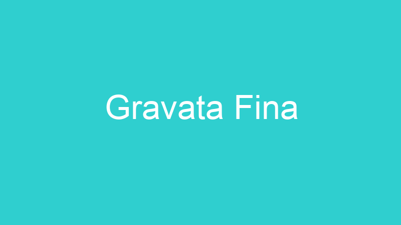 Gravata Fina