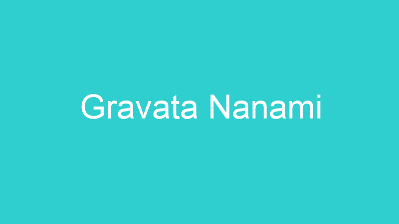 Gravata Nanami