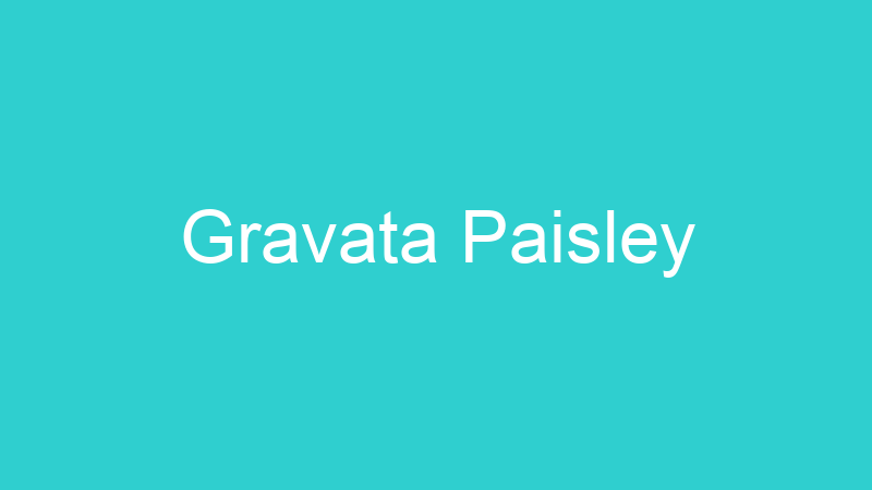 Gravata Paisley