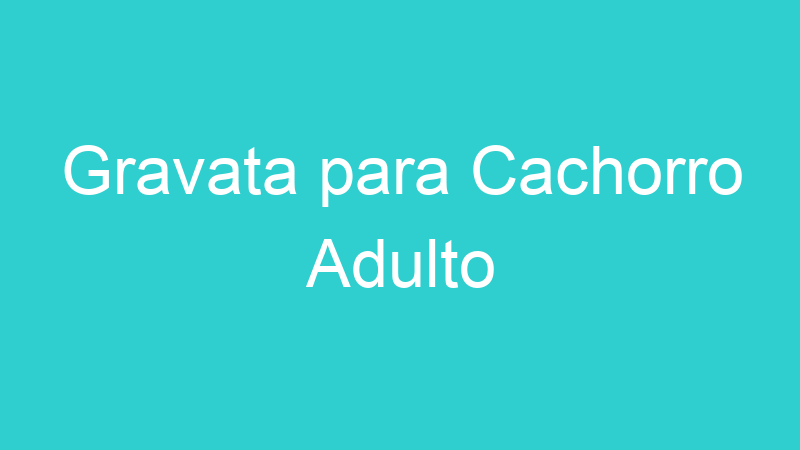 Gravata para Cachorro Adulto