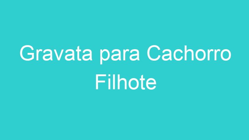 Gravata para Cachorro Filhote
