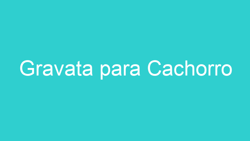 Gravata para Cachorro