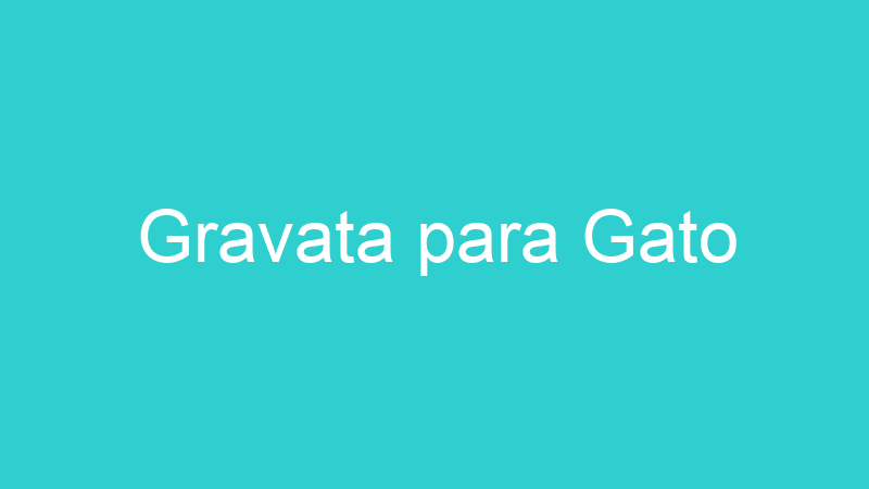 Gravata para Gato