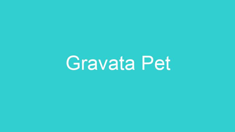 Gravata Pet