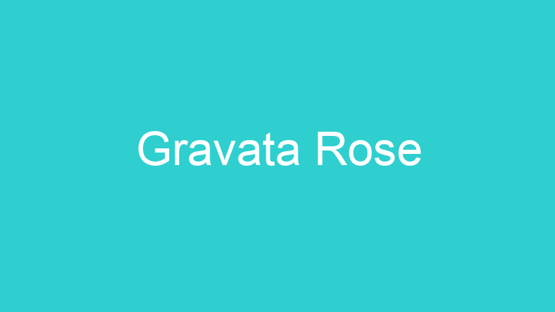 Gravata Rose