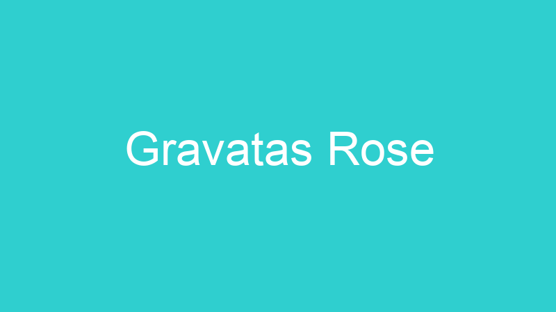 Gravatas Rose