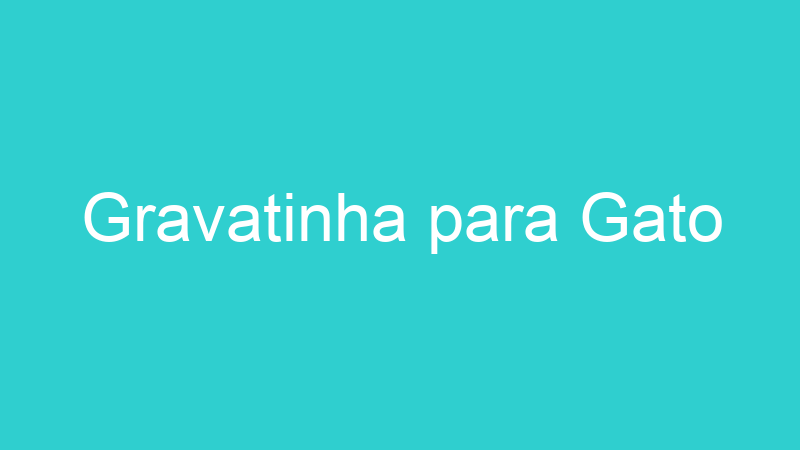Gravatinha para Gato