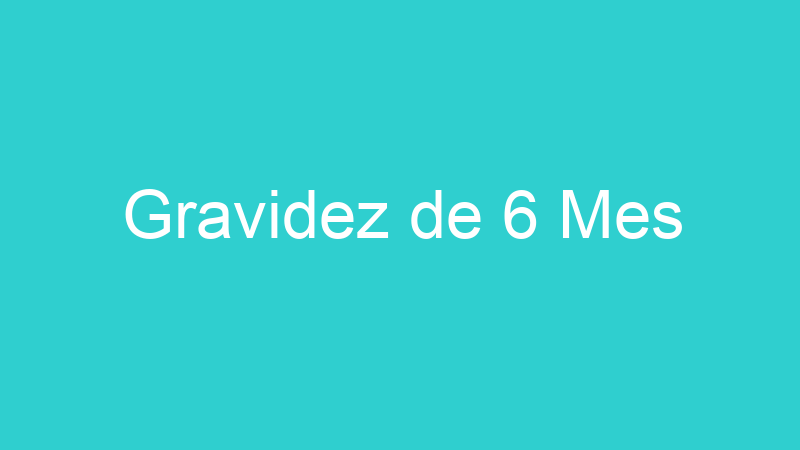 Gravidez de 6 Mes