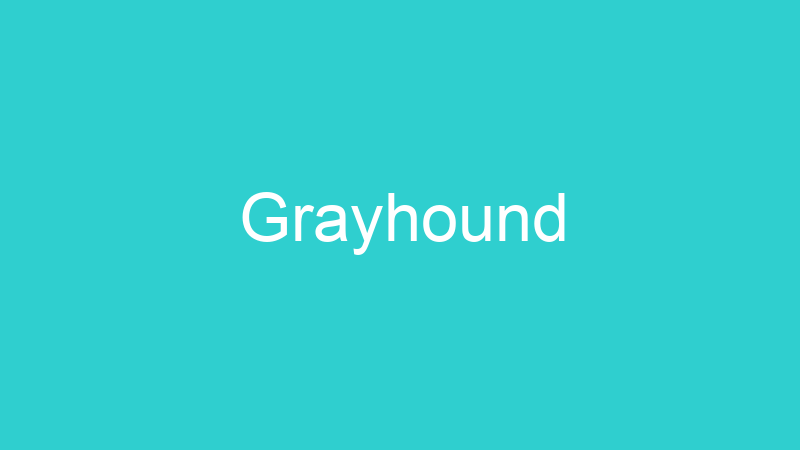 Grayhound