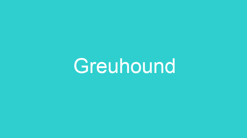Greuhound