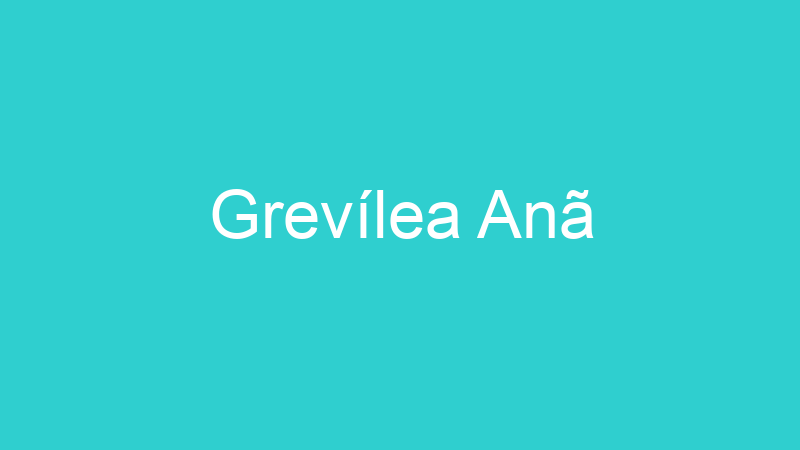 Grevílea Anã