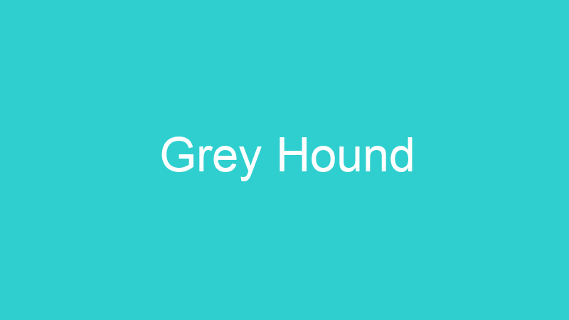 Grey Hound