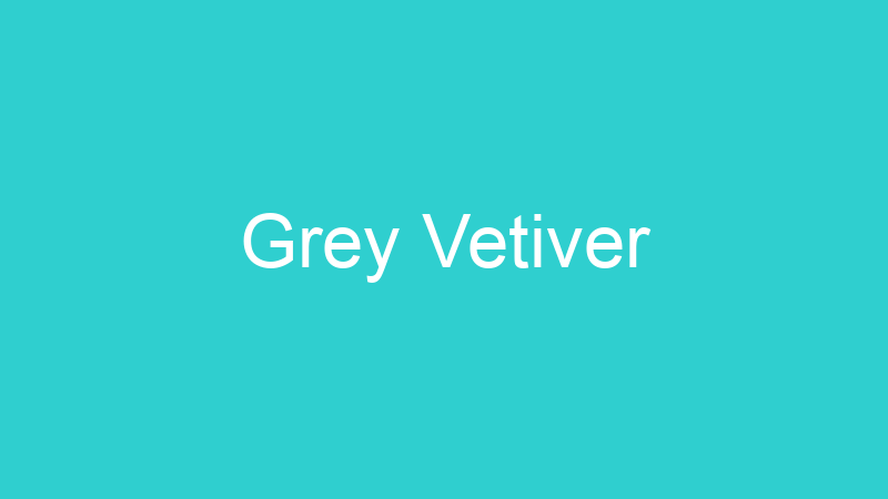 Grey Vetiver