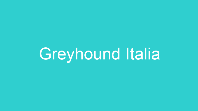 Greyhound Italia