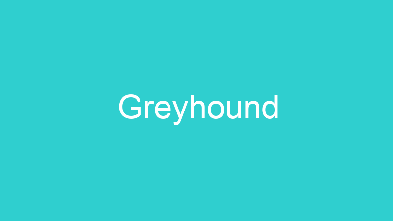 Greyhound
