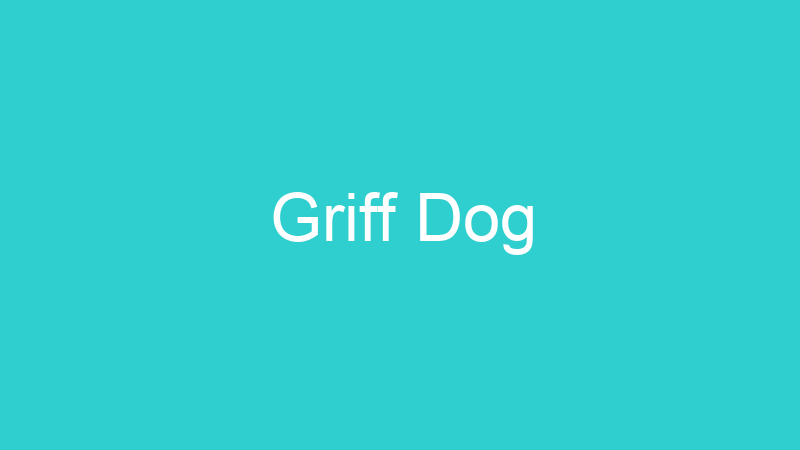 Griff Dog
