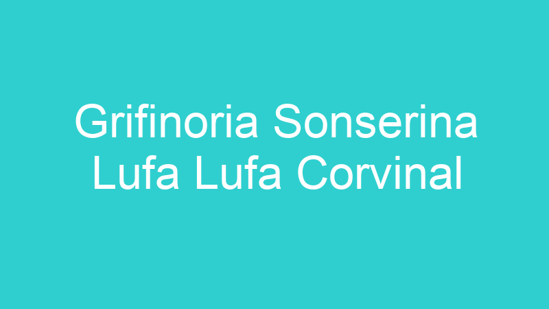 Grifinoria Sonserina Lufa Lufa Corvinal