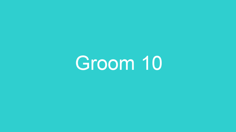 Groom 10