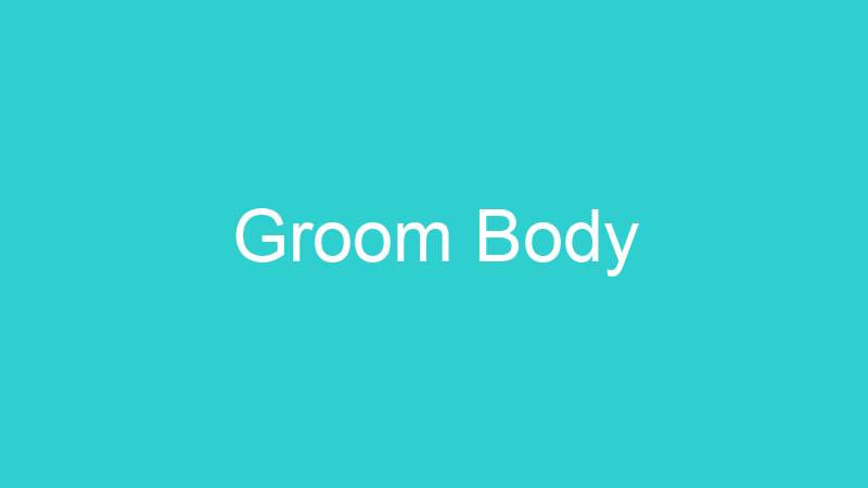 Groom Body