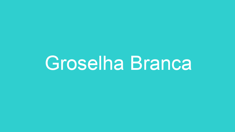 Groselha Branca