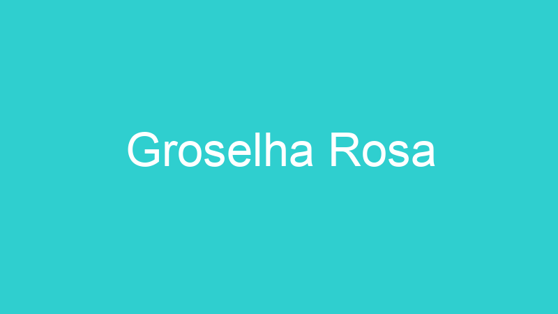 Groselha Rosa