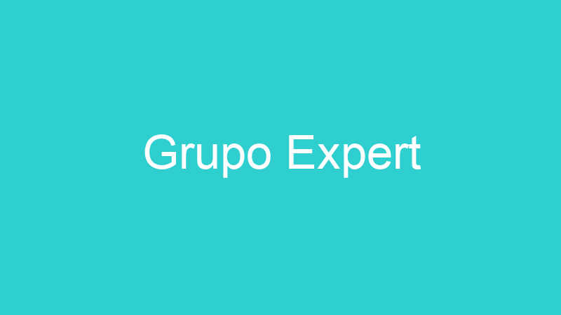 Grupo Expert