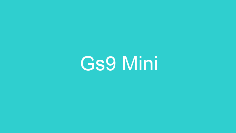 Gs9 Mini