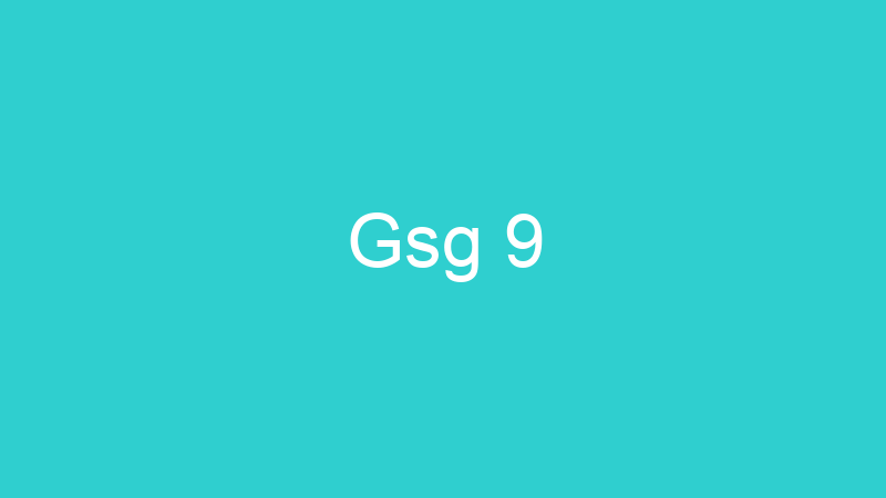Gsg 9
