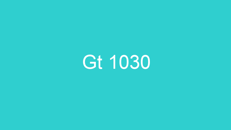 Gt 1030