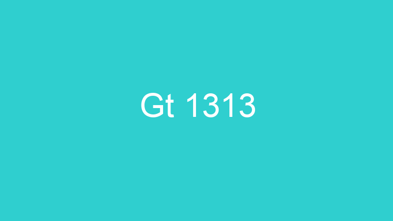 Gt 1313