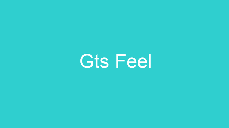 Gts Feel