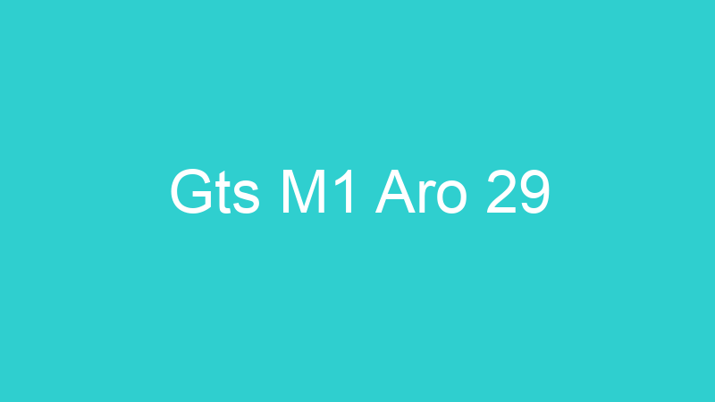 Gts M1 Aro 29