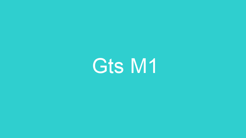 Gts M1