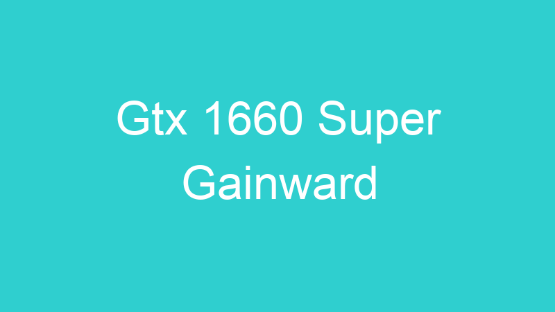 Gtx 1660 Super Gainward