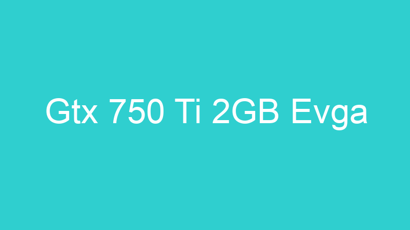 Gtx 750 Ti 2GB Evga