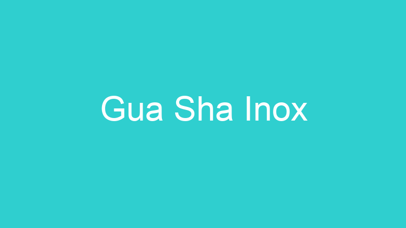 Gua Sha Inox