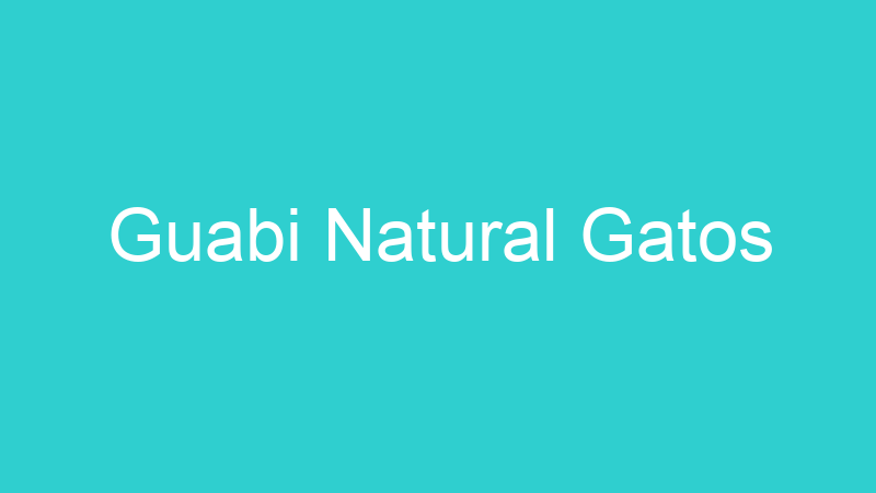 Guabi Natural Gatos