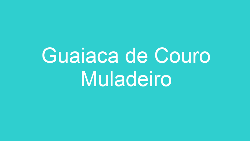 Guaiaca de Couro Muladeiro