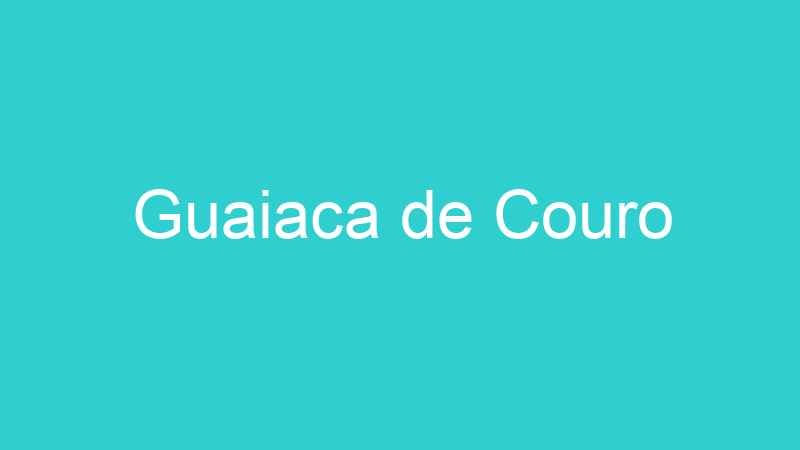 Guaiaca de Couro