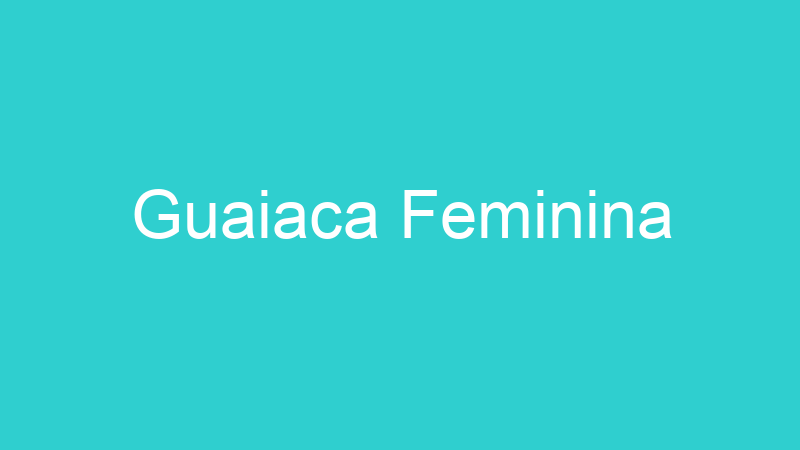 Guaiaca Feminina