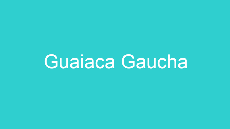 Guaiaca Gaucha